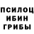 Псилоцибиновые грибы Psilocybe Mays Wot