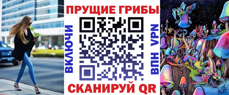 закладка  Дмитровск  Галлюциногенные грибы Cubensis 